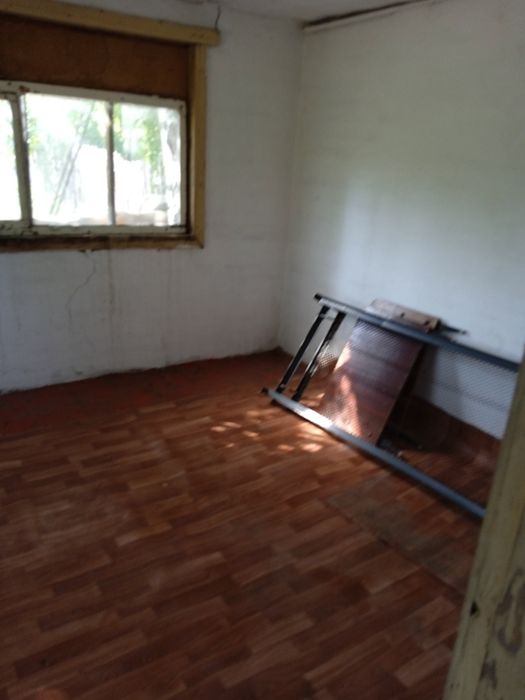 Дача сад Северный