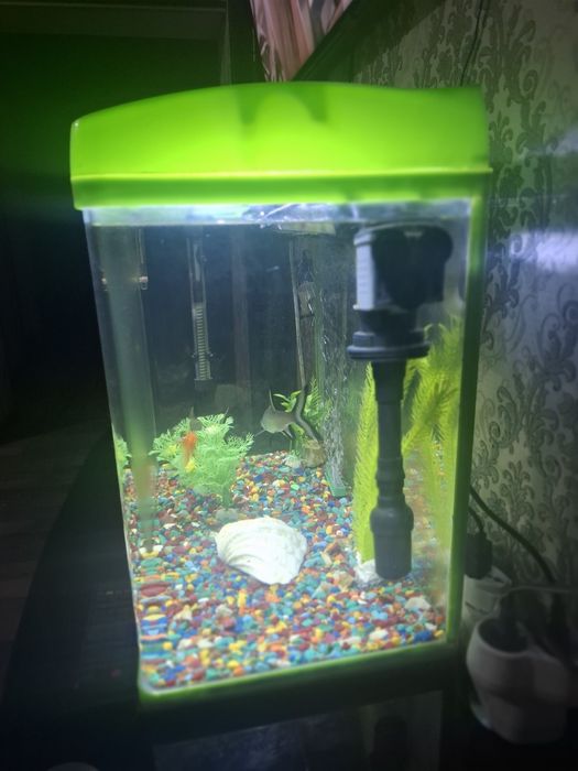 Аквариум заводской