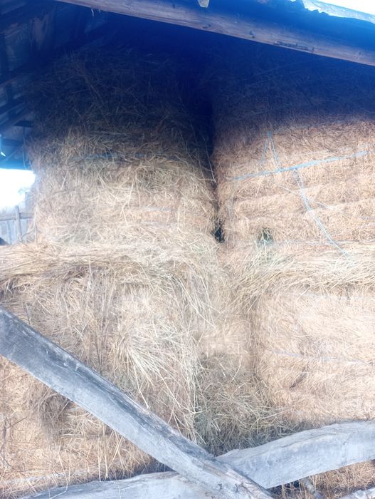 Baloți de vânzare ,fân și otavă