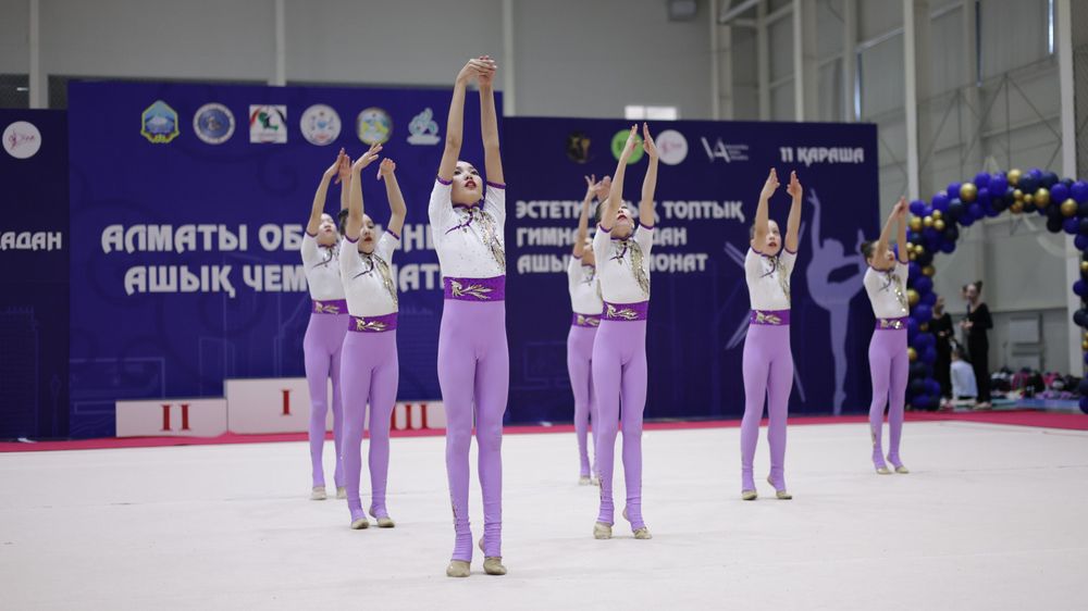 Комбинезон гимнастический, 10-12 лет