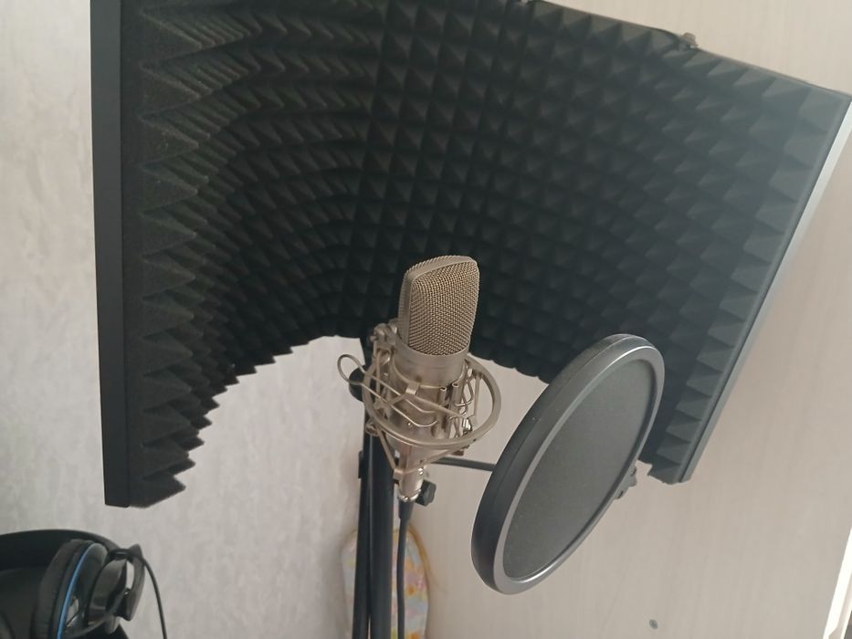 Профессиональный студия