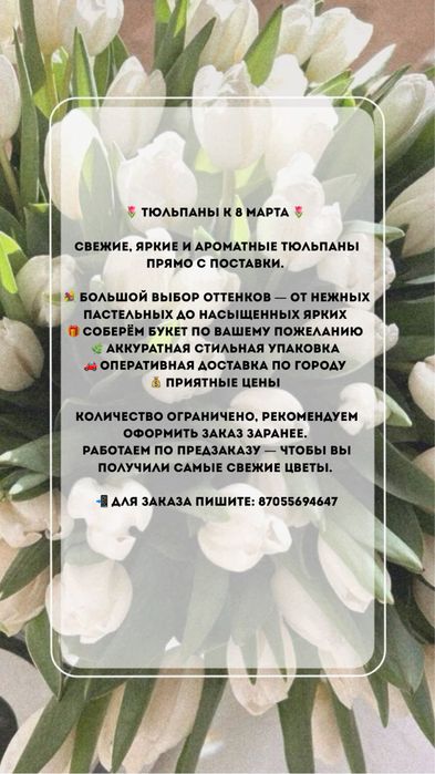 Тюльпаны цветы астана оптом