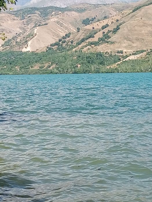 Sijjak qishlogida Dacha uchun yer suv boyida 8sotiq