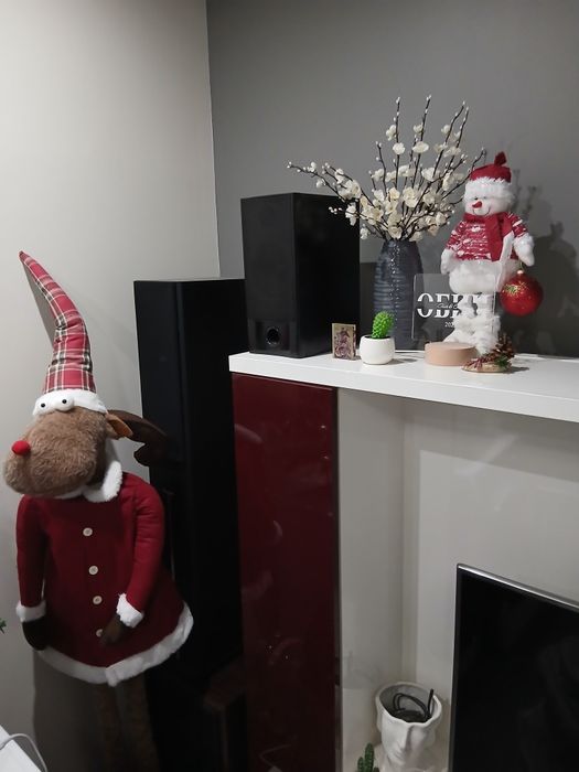 Тонколони тъндър и пайнер