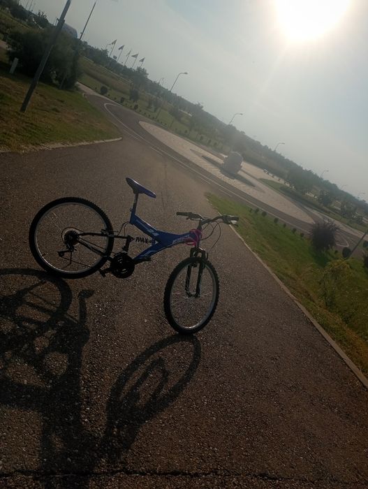 Bicicleta rich 24 sellena 2020