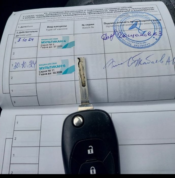 Продам авчарку немецкая