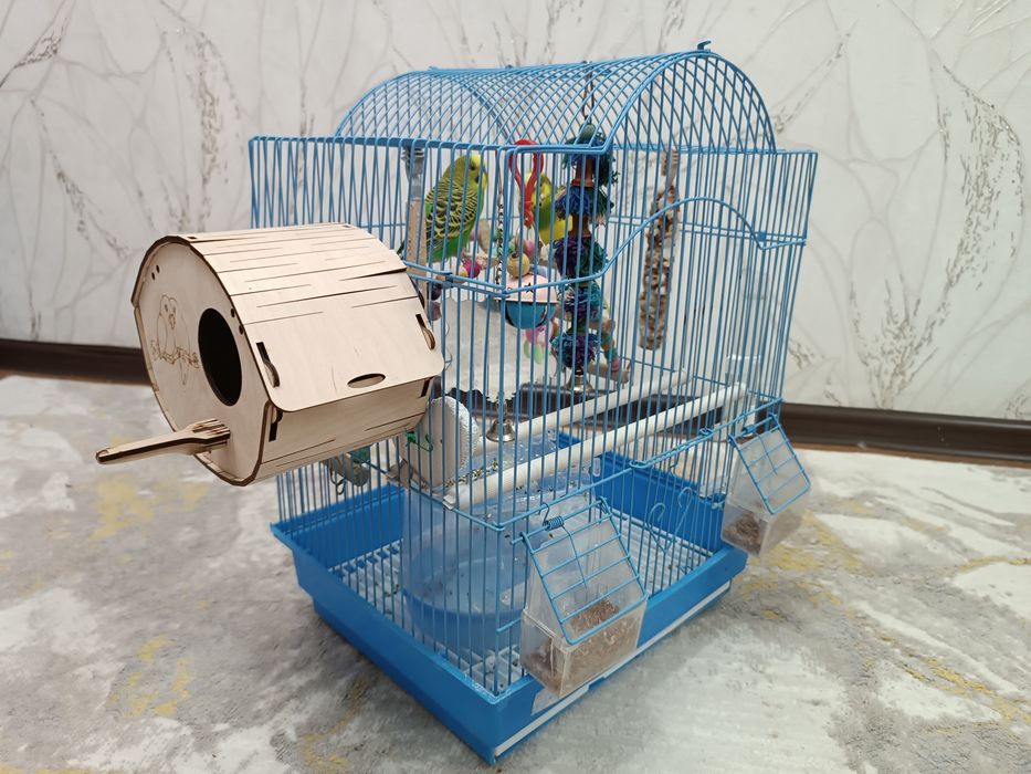 2 Попугаи и клетка с игрушками.