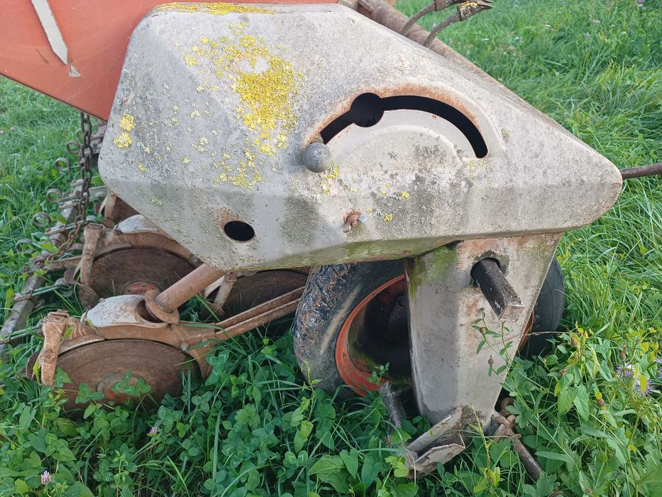 Semanatoare paioase pe discuri