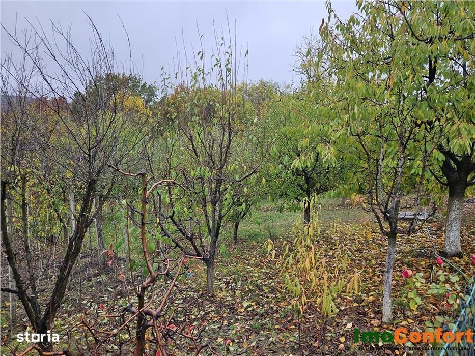 965mp intravilan  Aroneanu,  pozitie superba