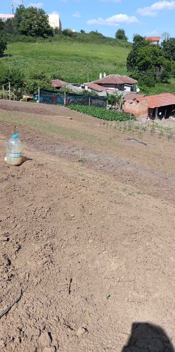 Продава се Парцел в с. Ситово, Област Силистра - 2300 кв.м за 6 €/кв.м - Снимка #3