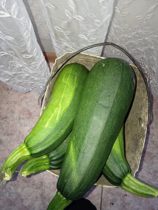 Продам кабачки, огурцы, зелень
