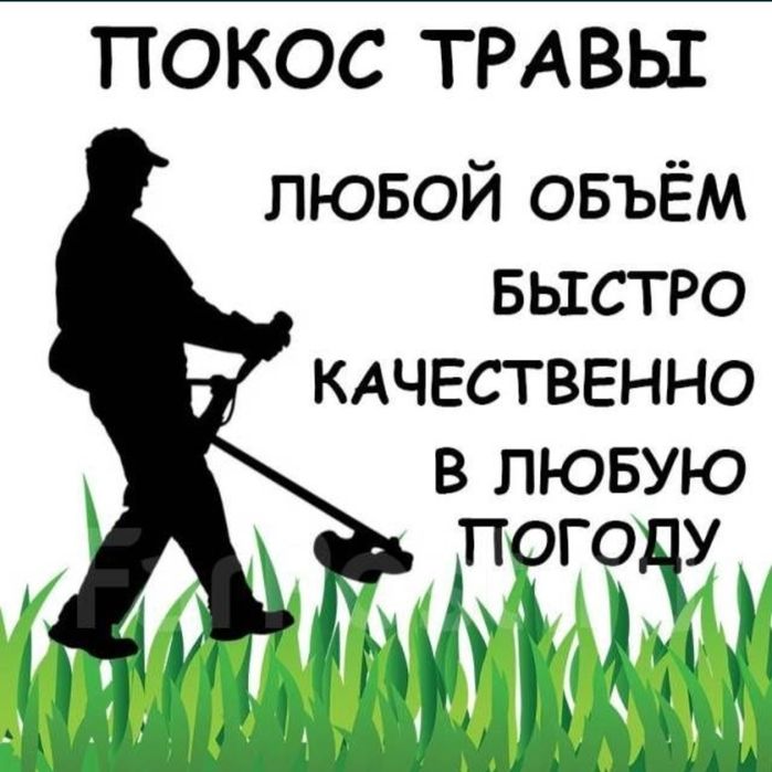 Пакос травы очистка теретори