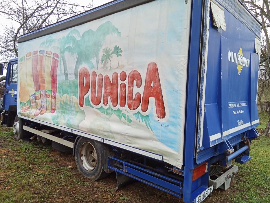 Autoutilitara Man 14.222