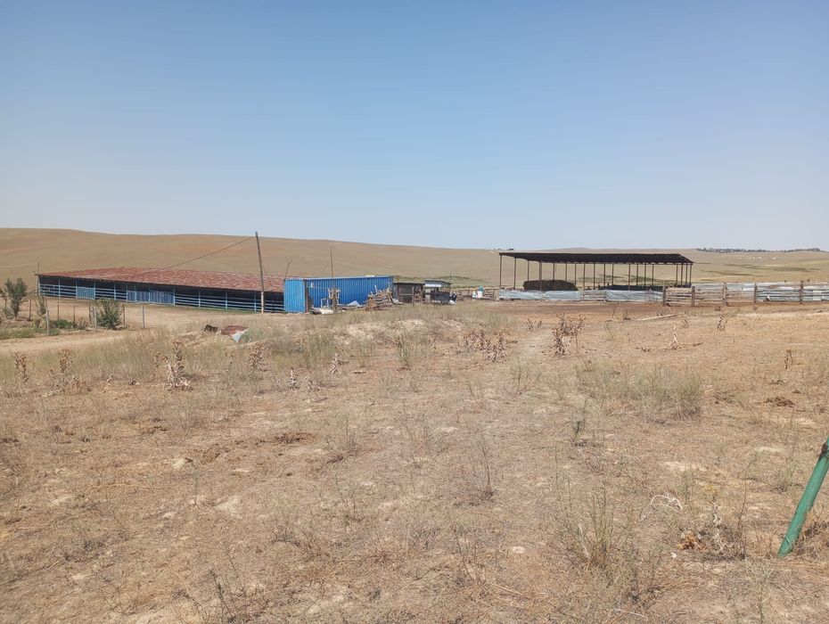 Фазенда сатамын!