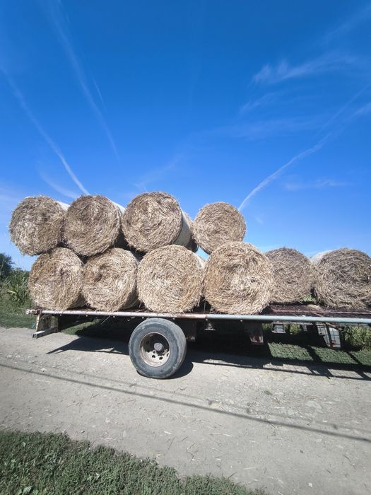 Vând baloți paie
