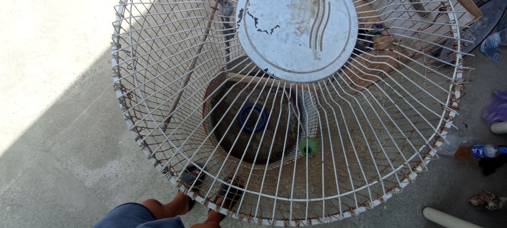 Qushlarni ini sotiladi