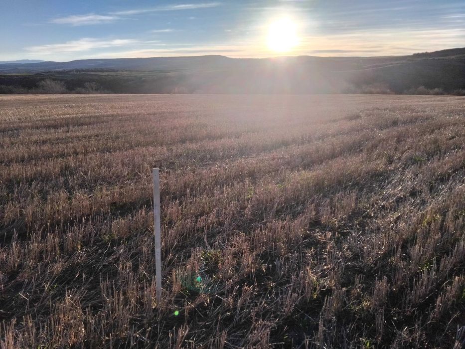 Продава се Земеделски имот в Батановци -  кв.м за 4 €/дка - Снимка #6