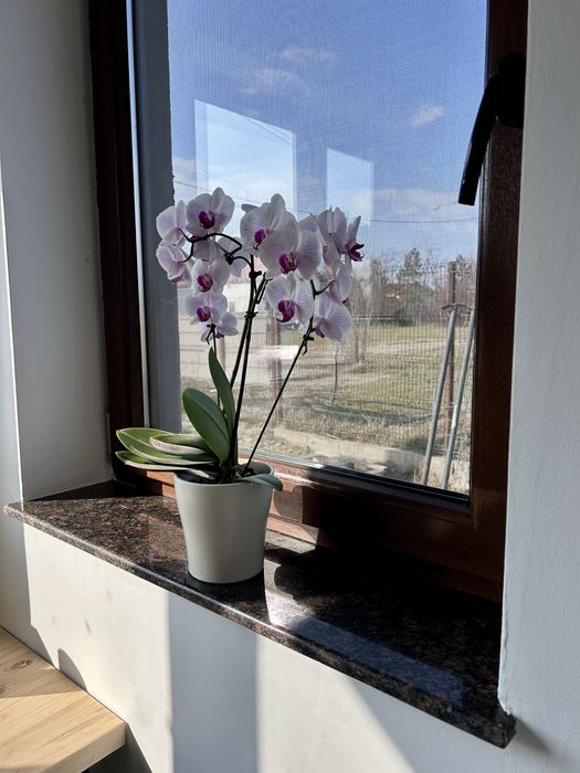 Blaturi, Glafuri si Trepte din Marmura, Granit, Quartz