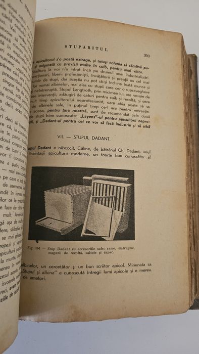 Stuparitul - cresterea albinelor
