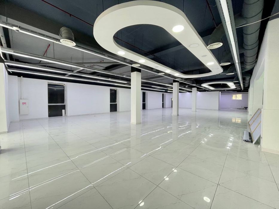 Максим Горький | 730кв - нежилое помещение Аренда