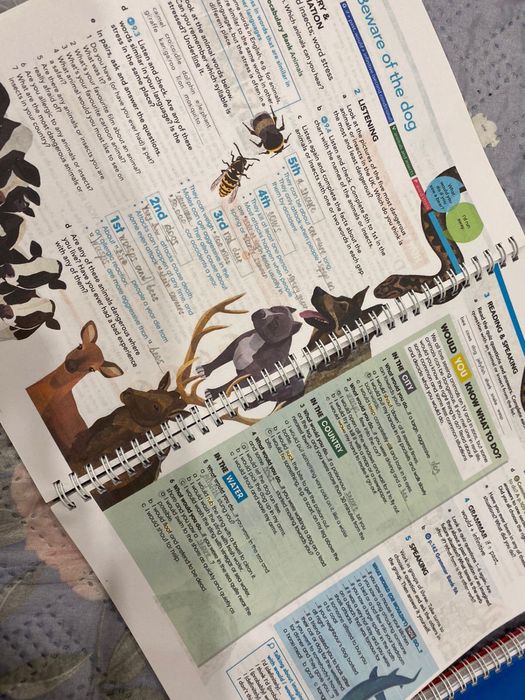 English file Pre-intermediate