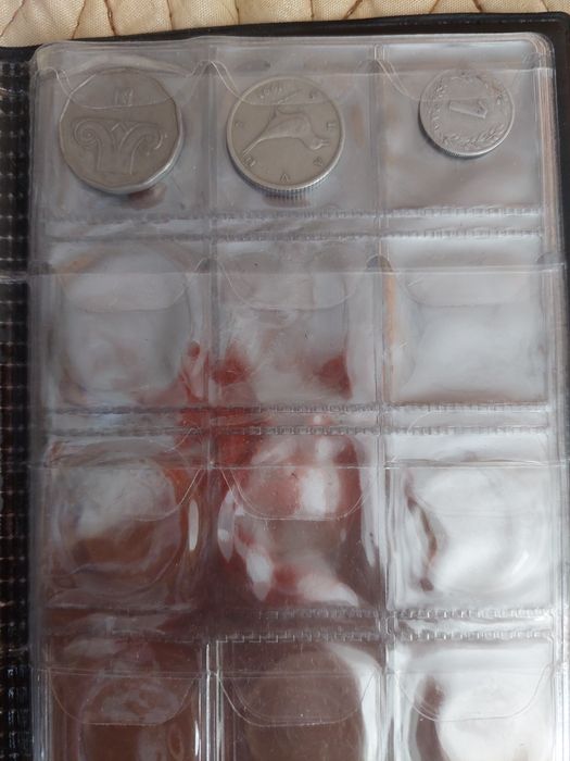 Albume cu monede