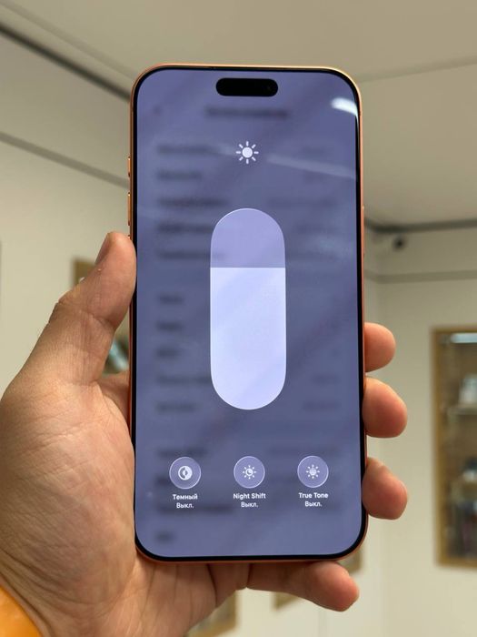 iPhone 17 Pro Max | 256 GB