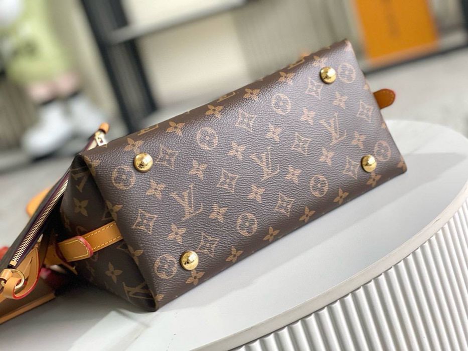 Geanta Louis Vuitton