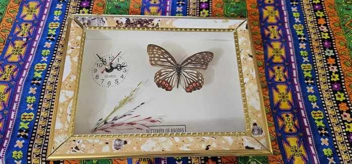 ceas tablou  cu fluture adevarat