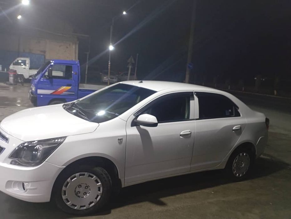 coblt 2014-yil 2ø pazitsa