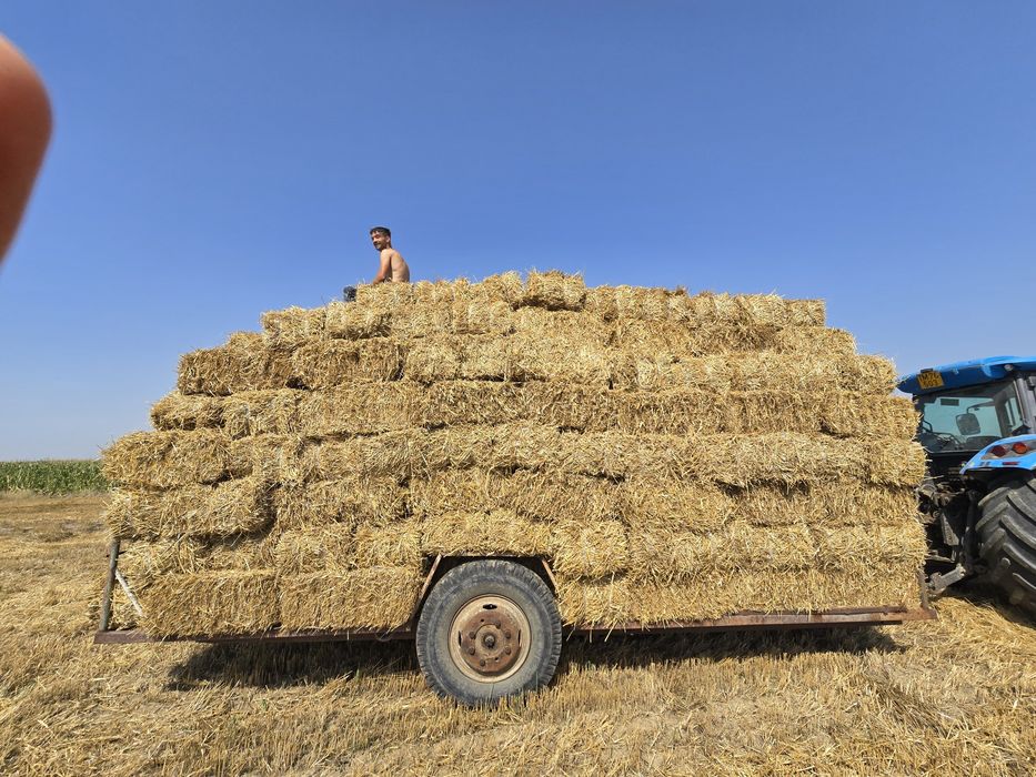 Vând baloți de paie