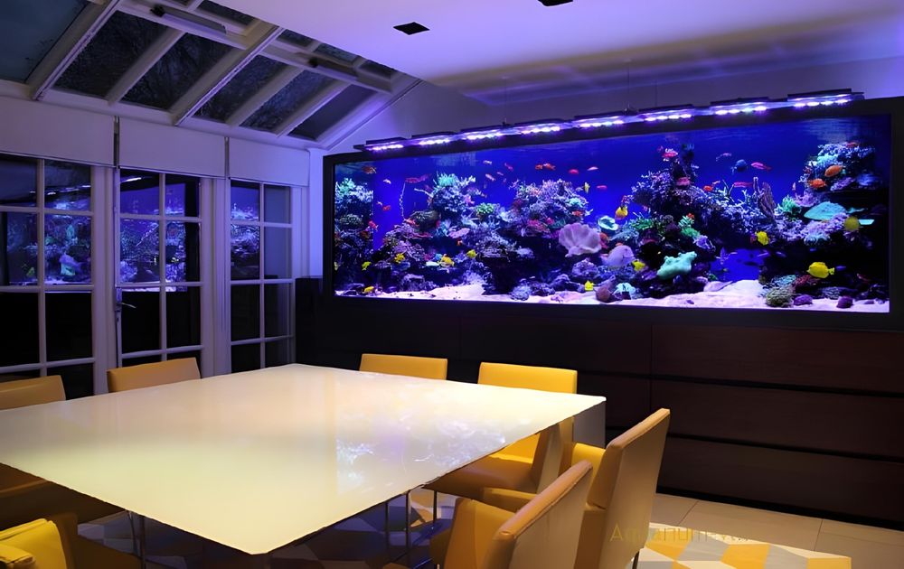 Аквариумлар буюртма билан. Уй, офис ва сизга азиз инсонларга совға учн