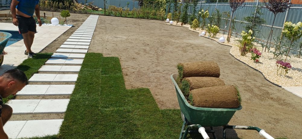 Plante leylandii si multe altele