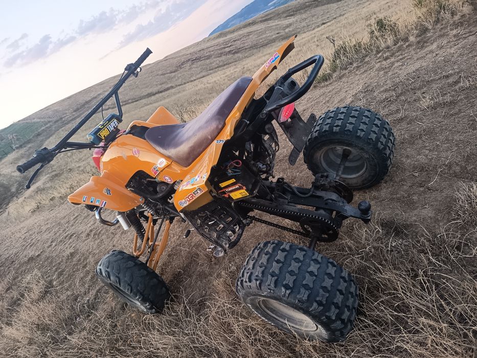 Bashan 250 cm  5+1