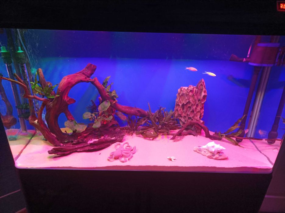 Продавам аквариум с шкаф