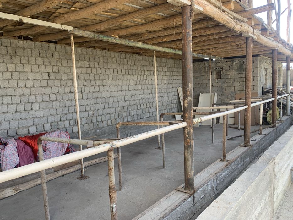 Yer nazarbek harakatda