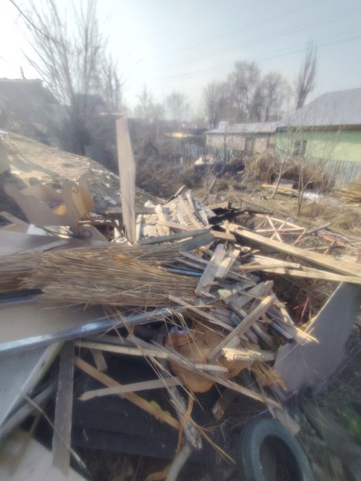 Дрова отдам бесплатно