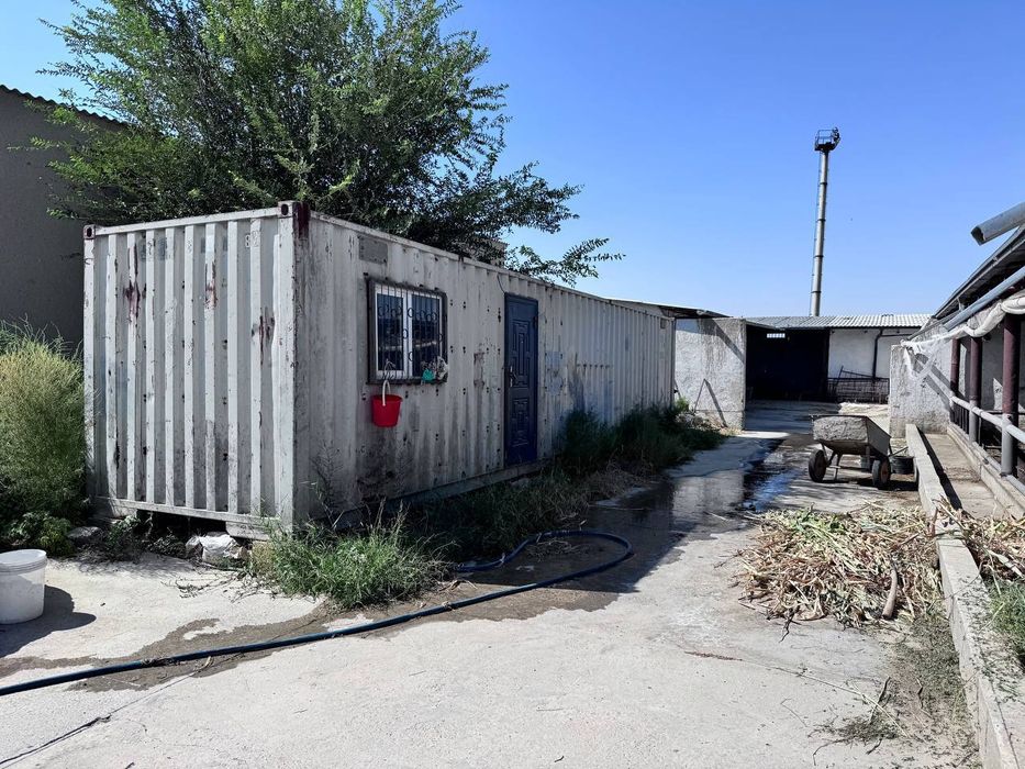 Тайёр бизнес , хамма шароитларга эгамолхона сотилади,