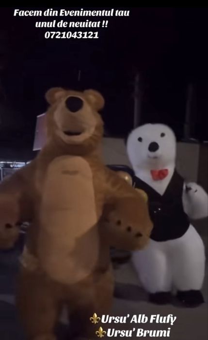 Pisica Hello Kity pentru Evenimentul tau de neuitat