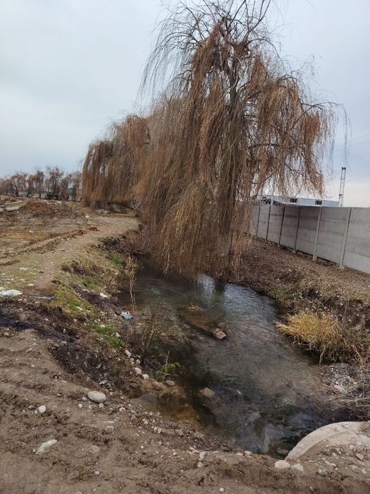 СВОЯ 4 гектар Ахмад Яссавий