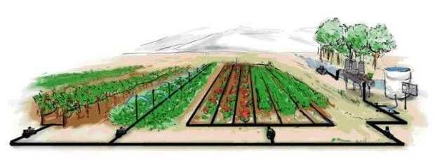 Tub Furtun Picurare Sera Gradina Rola 50m/l Duze in 30cm LivratGRATUIT