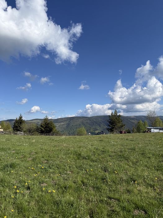 TEREN INTRAVILAN 6.000 MP | PRIVELIȘTE SUPERBĂ | ideal pentru cabane & investiții