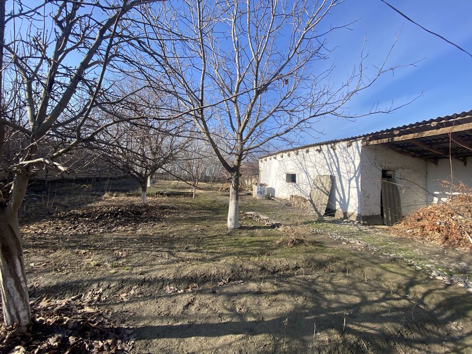 Yer sotiladi, Payariq, Chelak