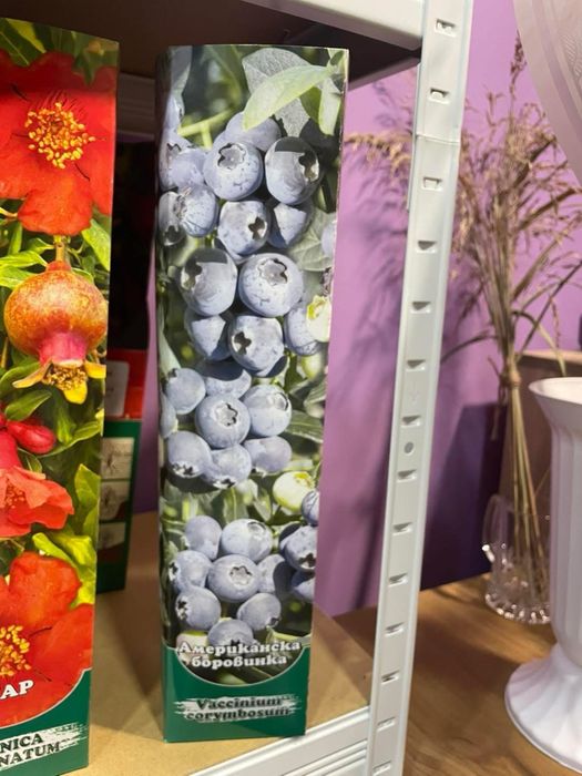 Градински растения - рози, нар, индийски люляк , смокиня …