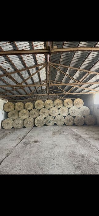 Продава се действаща кравеферма