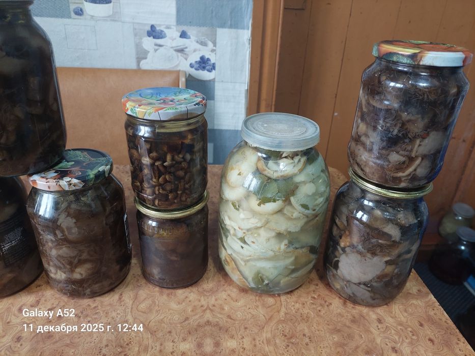 Продам маринованные грибы