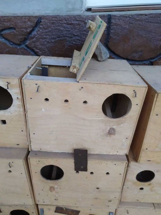 Продаются дуплянка