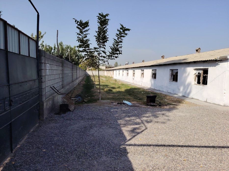 Ferma 50 sotixlik sotiladi