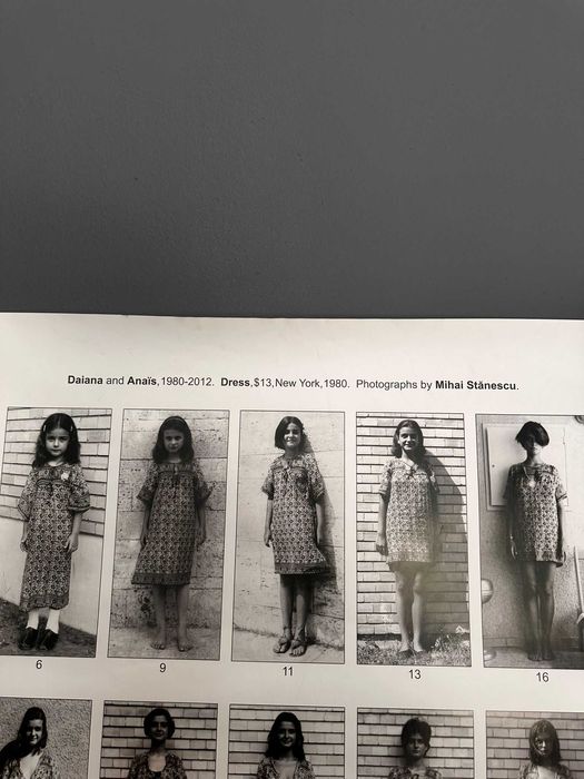 Poster Daiana and Anais din 1980–2012 de Mihai Stănescu