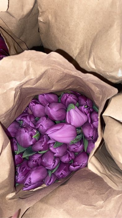 Свежие тюльпаны по 300